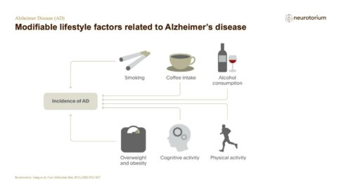 Alzheimers Disease – Epidemiology – slide 5
